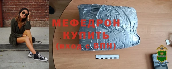 индика Надым