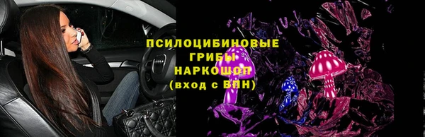 гашик Михайлов