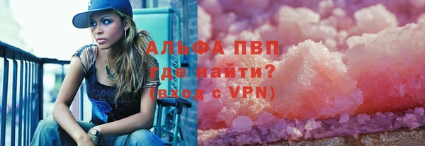индика Надым