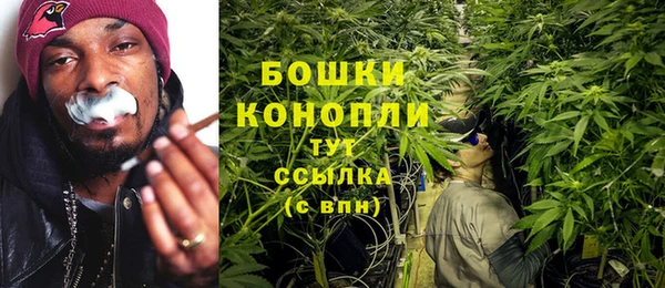 гашик Михайлов