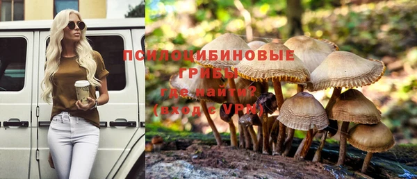 гашик Михайлов