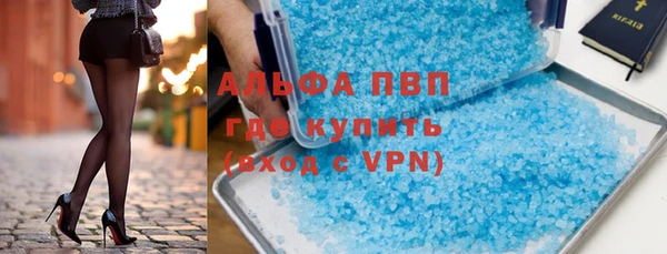 индика Надым