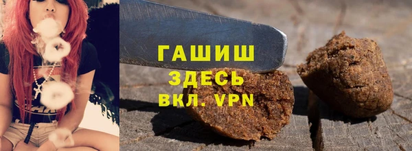 индика Надым