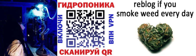 ссылка на мегу вход  купить наркотик  Касли  Каннабис тримм 